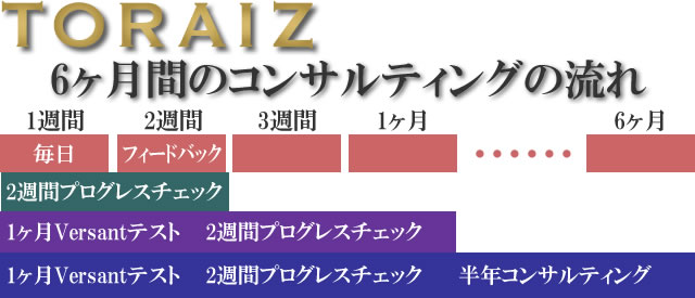 トライズコンサルタントの流れ